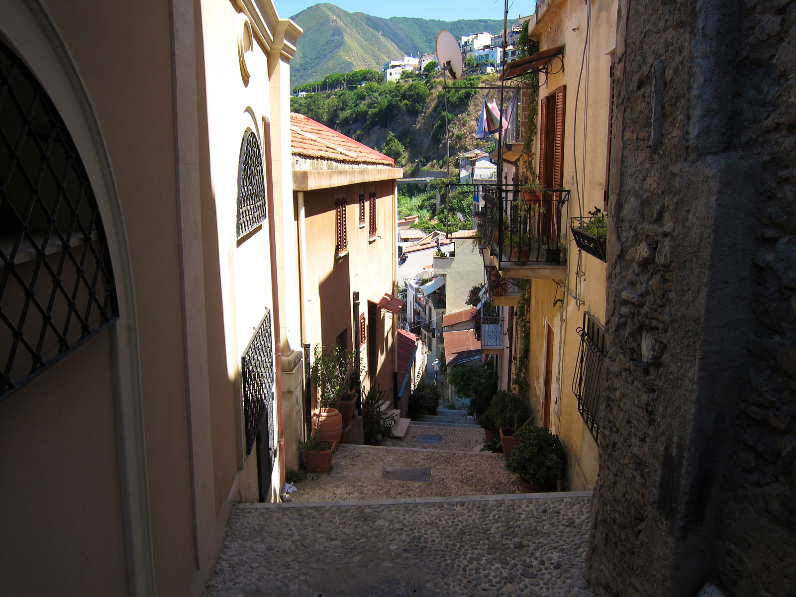 Scilla